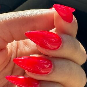 Meet your Posher, T baby